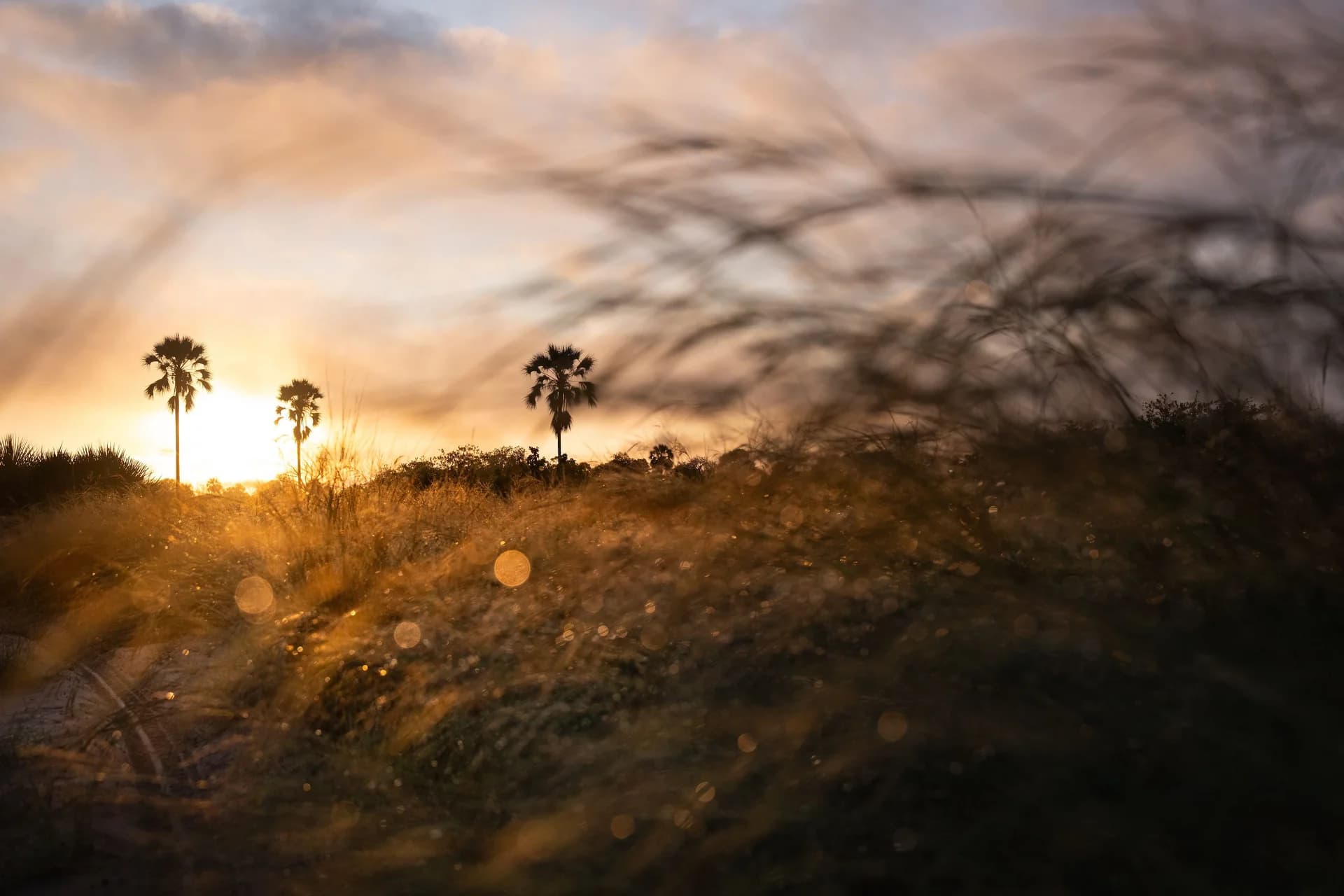Singita Elela gallery image