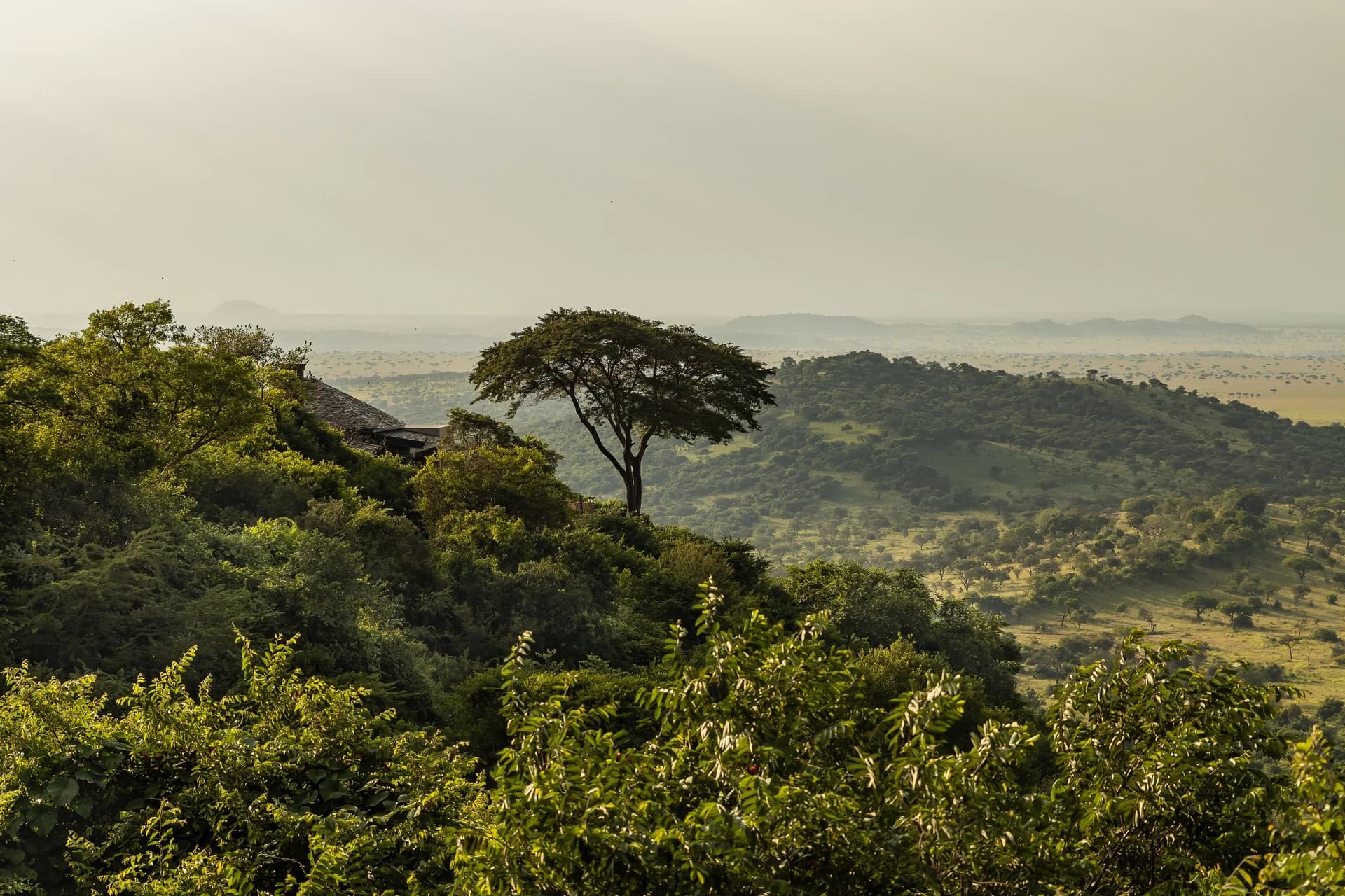 Singita Sasakwa Lodge gallery image