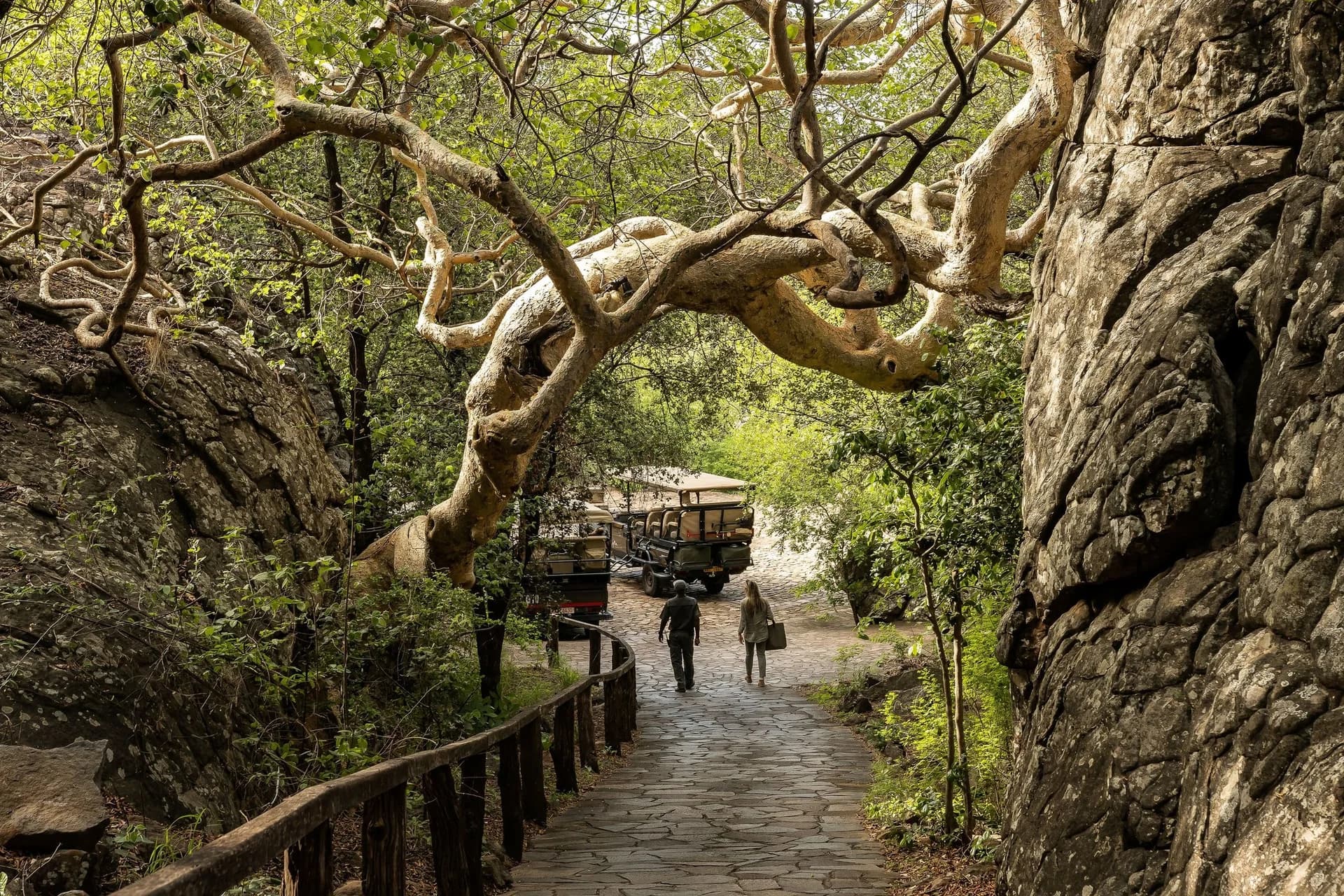 Singita Pamushana gallery image